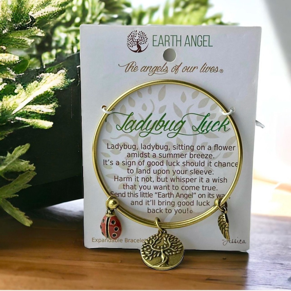 Earth Angel Ladybug Luck Gold Tone Expandable Boho Cottagecore Charm Bracelet
